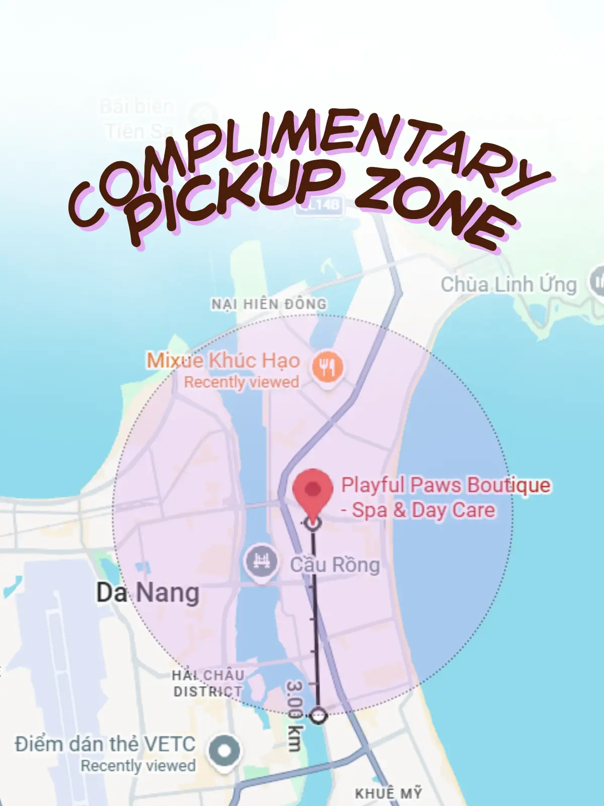 Dog transport service in Da Nang